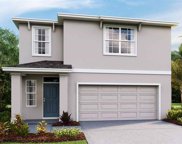 33553 Apricot Tree Court, Wesley Chapel image