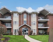 13097 Laurel Glen Court Unit #303, Palos Heights image