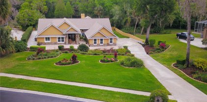 13008 Bell Creek Chase, Riverview