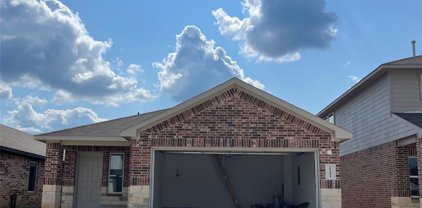 25431 Lobelia Blossom Lane, Magnolia