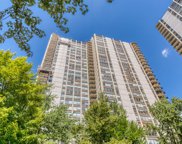 1360 N Sandburg Terrace Unit #2001, Chicago image