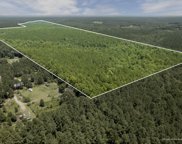 293 Acres +/- Scruggs Rd., Sumrall image