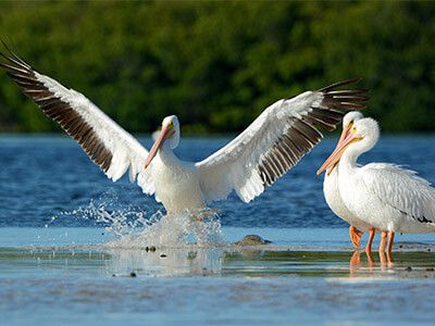 Moorings Real Estate