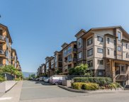 12655 190a Street Unit 214, Pitt Meadows image