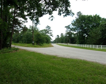 000 CR 302 at Deer Creek Lane, Plantersville