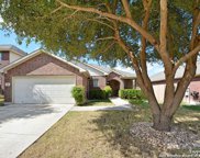 329 Posey Pass, New Braunfels image