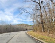 00 Highway 75, Oneonta image