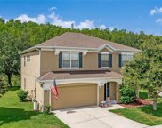 14779 Grand Cove Drive, Orlando image