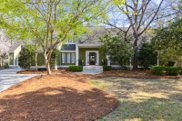 898 Kushiwah Creek Court, Charleston image