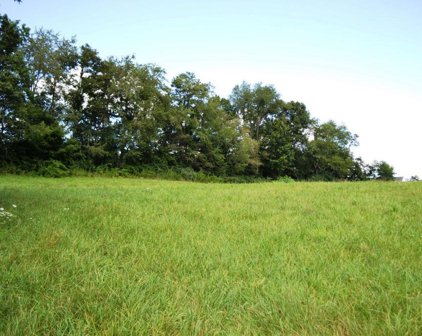 Lot 1 S Petunia Road, Wytheville