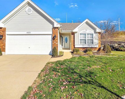 4501 Von Talge Meadows  Court, St Louis
