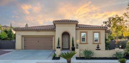 5401 Reef Cir, Carlsbad