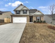 4612 Winchester Hills Way, Clay image