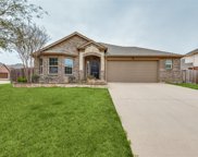 400 Buttercup  Court, Mansfield image