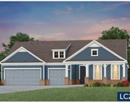408 Day Lily Trail, Summerville image