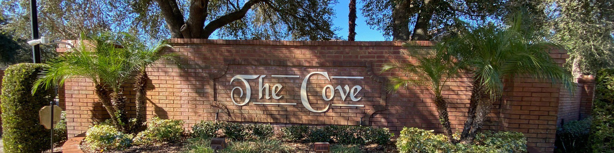 Homes For Sale In The Cove In Lake Mary, FL