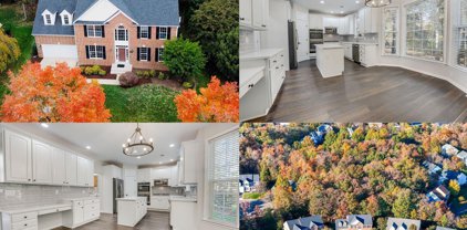 42814 Songbird Court, Broadlands