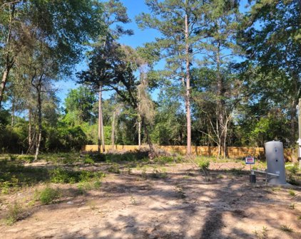 15933 Mata Road, Plantersville