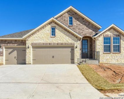 338 Rhapsody View, Spring Branch