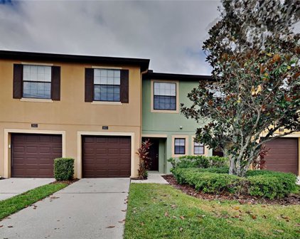 2621 Oleander Lakes Drive, Brandon