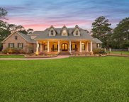 32815 Clear Water Court, Magnolia image