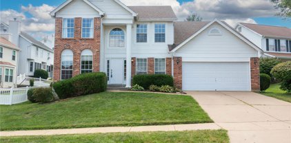 5408 Tesson Parc  Court, St Louis
