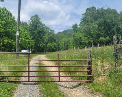 TBD Middle Fork Road, Chilhowie