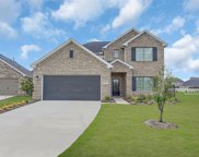 9702 Migrant Hawker Court, Conroe image