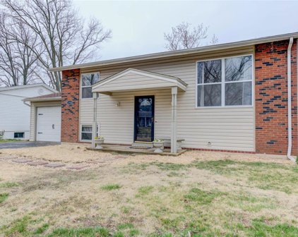 11920 Glenpark  Drive, Maryland Heights