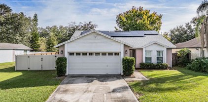 2009 Helm Lane, Valrico