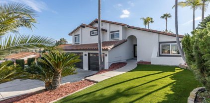 3651 Belle Bonnie Brae Rd, Bonita