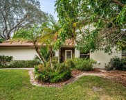 315 Parkside Lane, Safety Harbor image