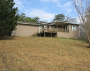 485 Wandering Walk Road, Lowgap image