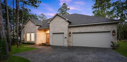 25134 W Tara Plantation Drive, Tomball