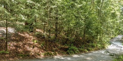 25318 SE 135 Street, Issaquah