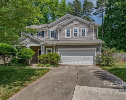 8808 Driftwood Commons  Court, Mint Hill