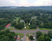 4421 & 6244 Pinson Boulevard Unit 4421 Pinson Blvd & 6244 Spraul Ave, Pinson image