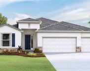 12011 Orchid Ash Street, Riverview image