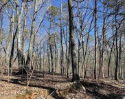 5539 Country Road Unit 1 lot, Pinson image