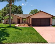 10653 Crescendo Loop, Clermont image