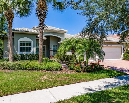 16107 Diamond Bay Drive, Wimauma