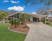 8510 Monarch Place, Palmetto image