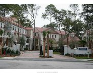Hilton Head Island image