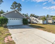319 Sea Turtle Dr., Myrtle Beach image