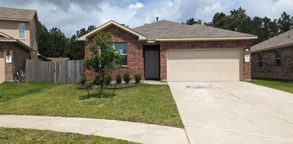 18013 Atwood Mill Drive, New Caney