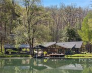 481 Whitaker Cove  Road, Mills River image