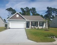 413 Rowells Ct., Conway image