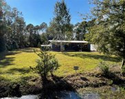 1434 Cinnamon, Bunnell image