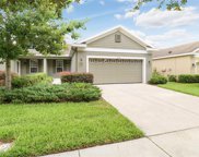 16026 Starling Crossing Drive, Lithia image