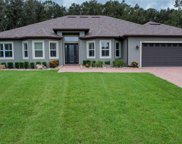 10934 Priebe Road, Clermont image